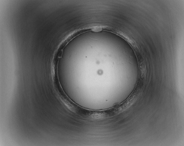 X0000116880350200912221430