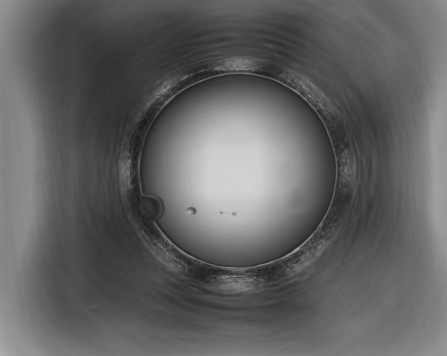 X0000116880351200912221430