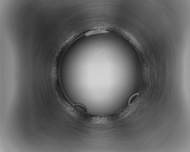 X0000116880354200912221430