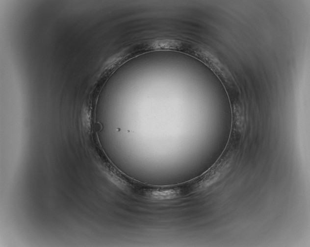 X0000116880357200912221430