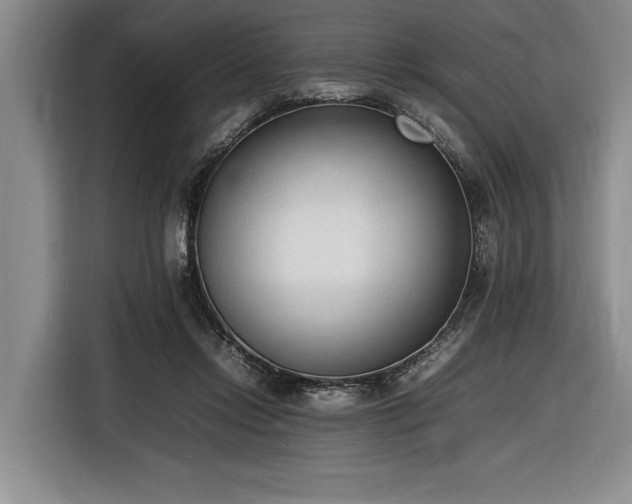 X0000116880358200912221430