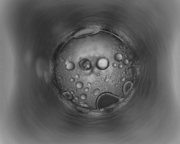 X0000116880359200912221430