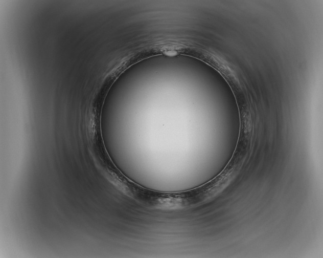 X0000116880362200912221430