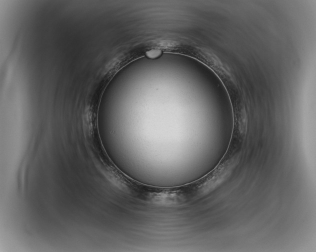 X0000116880366200912221430