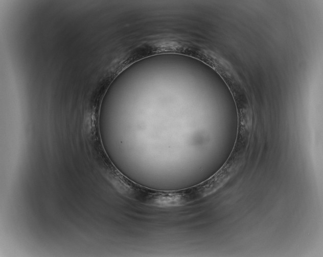 X0000116880369200912221430