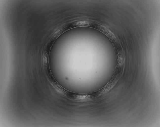 X0000116880375200912221430