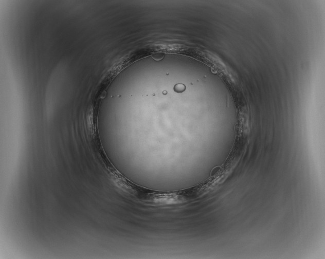 X0000116880377200912221430