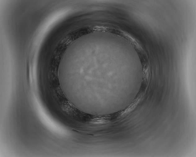 X0000116880381200912221430