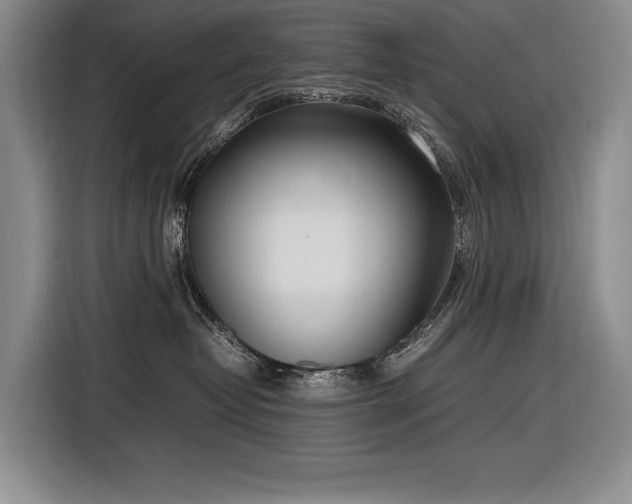 X0000116880382200912221430