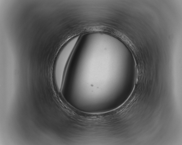 X0000116880386200912221430
