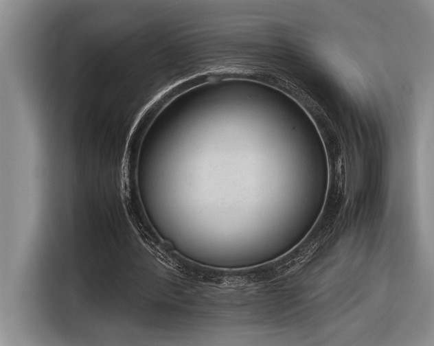 X0000116880388200912221430
