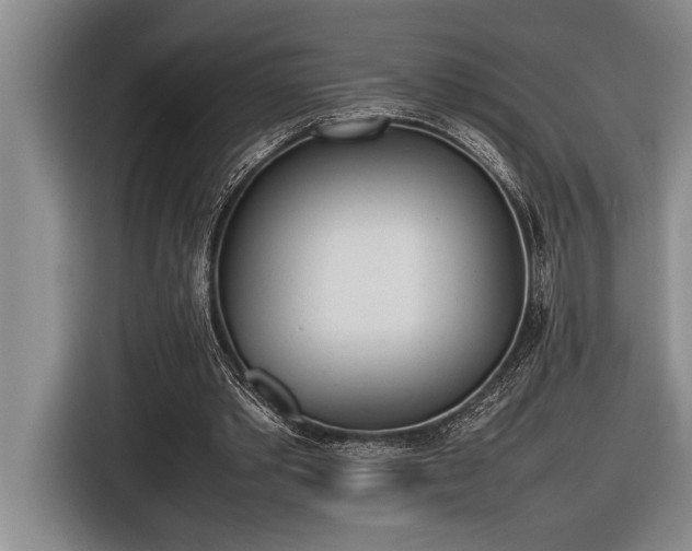 X0000116880389200912221430