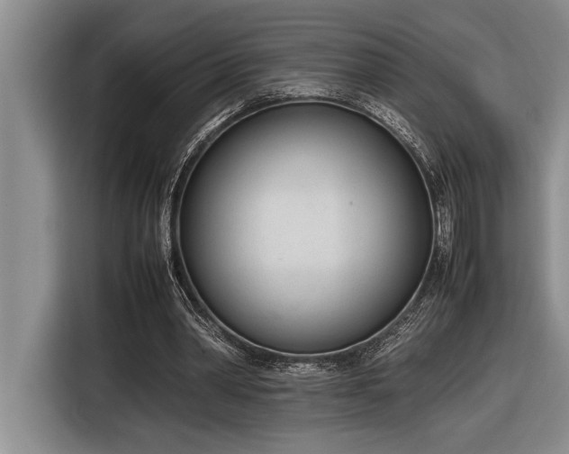X0000116880390200912221430