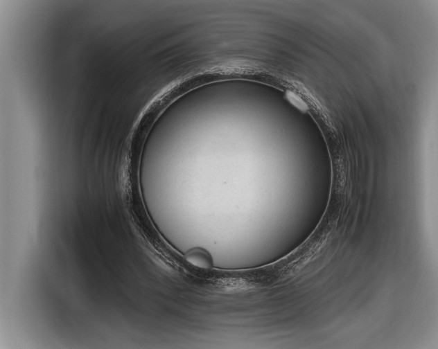 X0000116880392200912221430