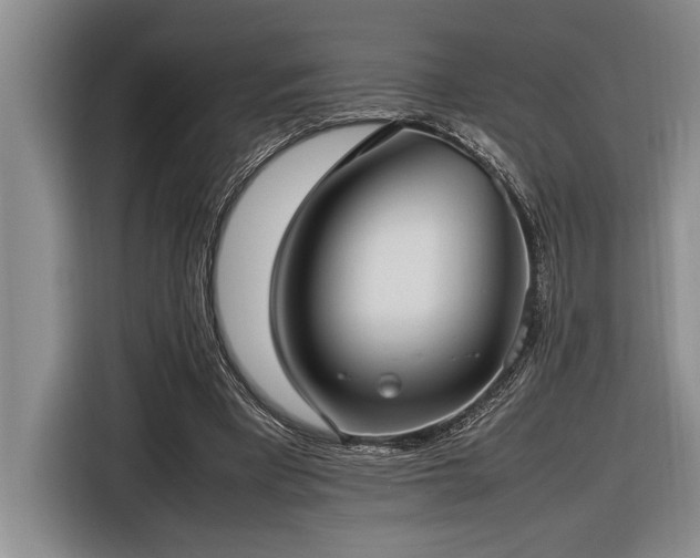 X0000116880393200912221430
