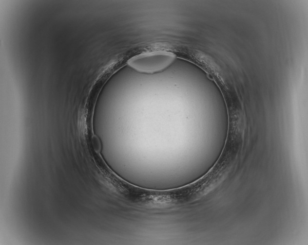X0000116880395200912221430