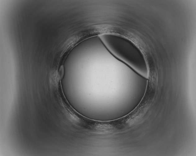 X0000116880397200912221429