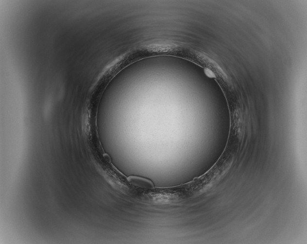 X0000116880400200912221429