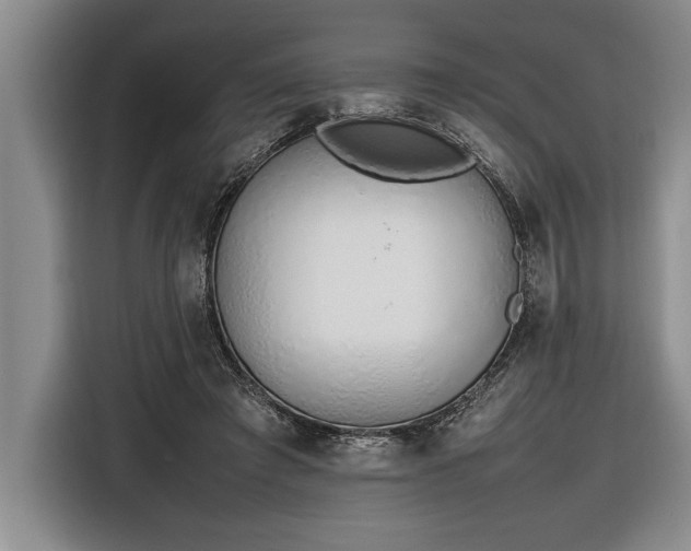 X0000116880401200912221429