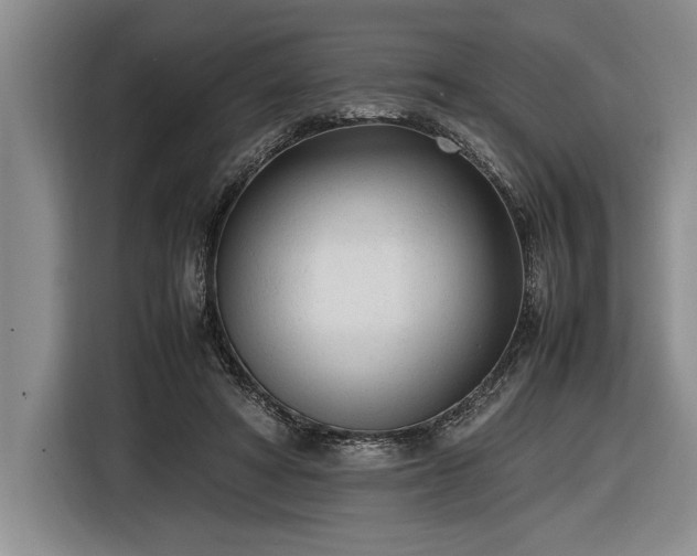 X0000116880402200912221429