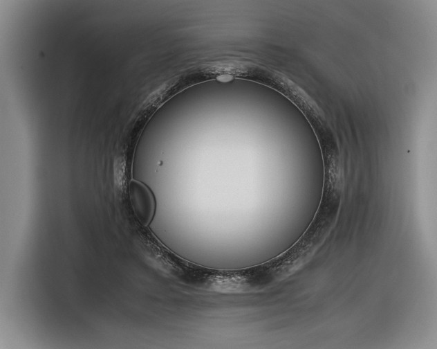 X0000116880403200912221429