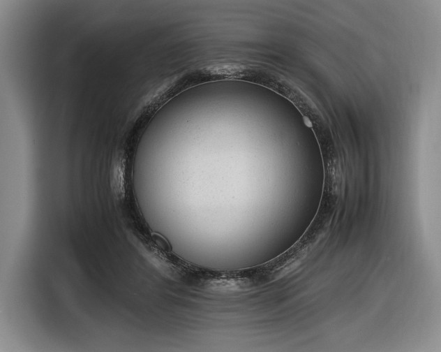 X0000116880404200912221429