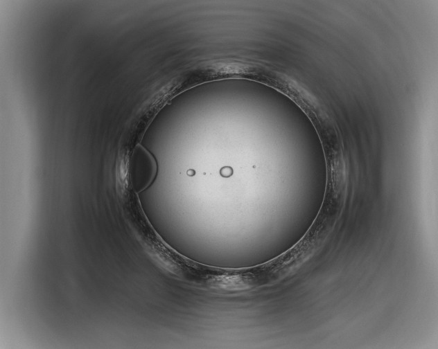 X0000116880406200912221429