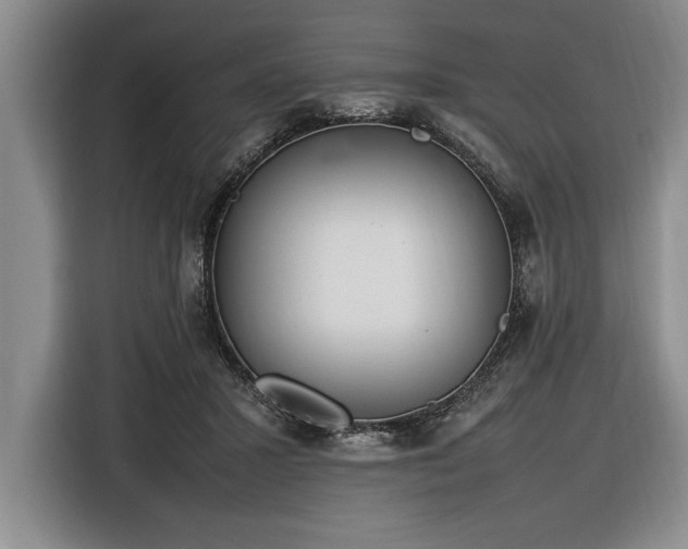 X0000116880407200912221429