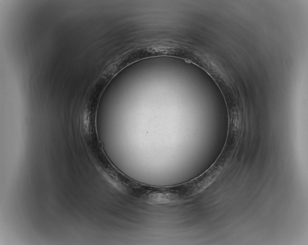 X0000116880408200912221429