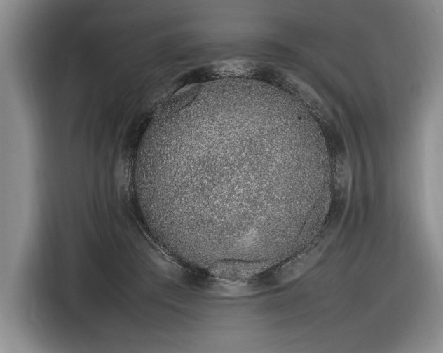 X0000116880409200912221429