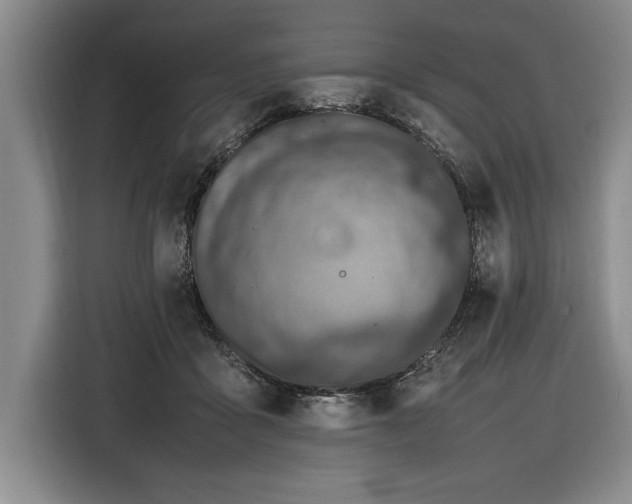 X0000116880411200912221429