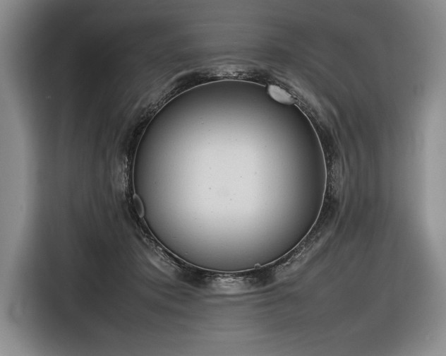 X0000116880413200912221429