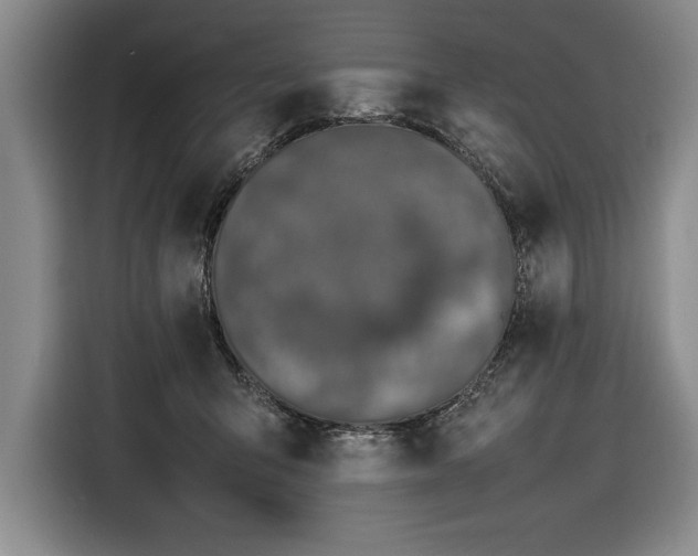 X0000116880415200912221429
