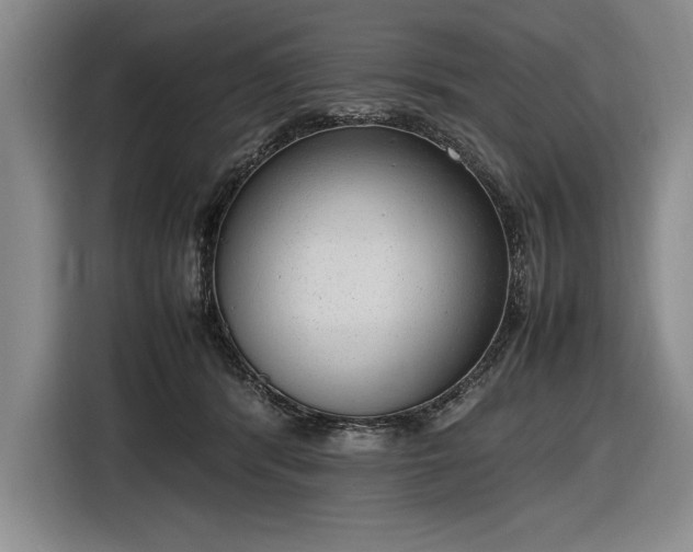 X0000116880416200912221429