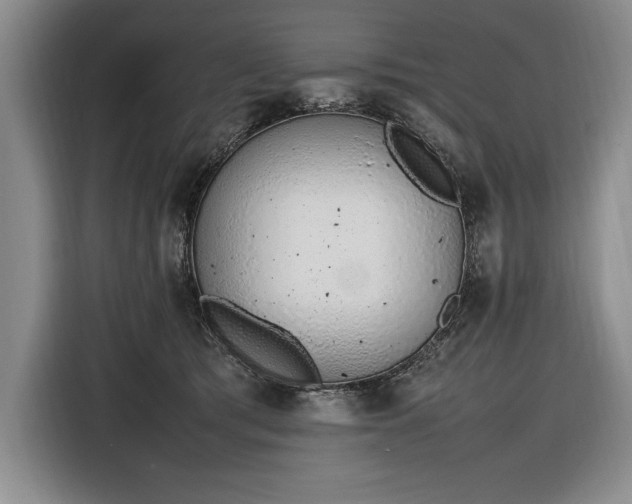 X0000116880417200912221429