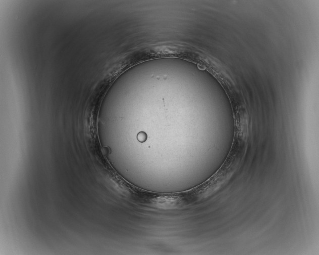 X0000116880418200912221429