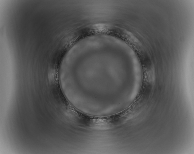 X0000116880419200912221429