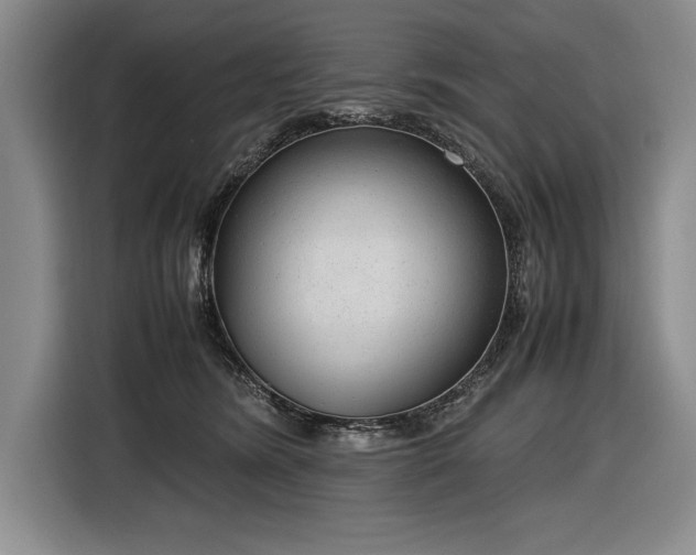 X0000116880420200912221429
