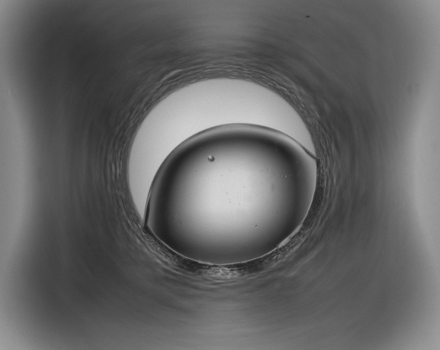 X0000116880421200912221429