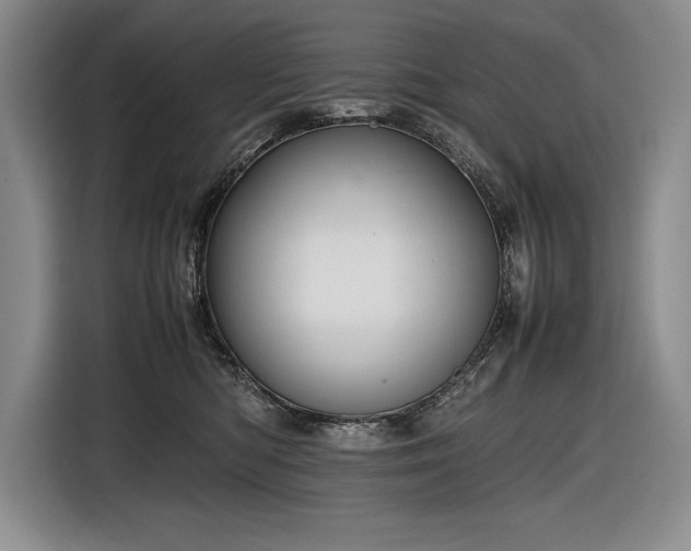 X0000116880422200912221429
