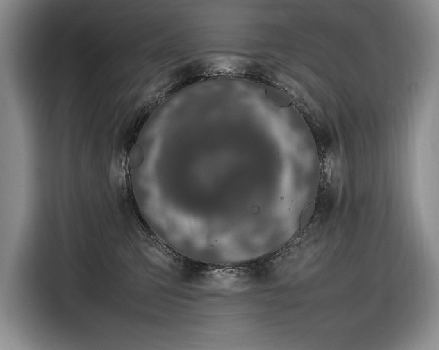 X0000116880423200912221429