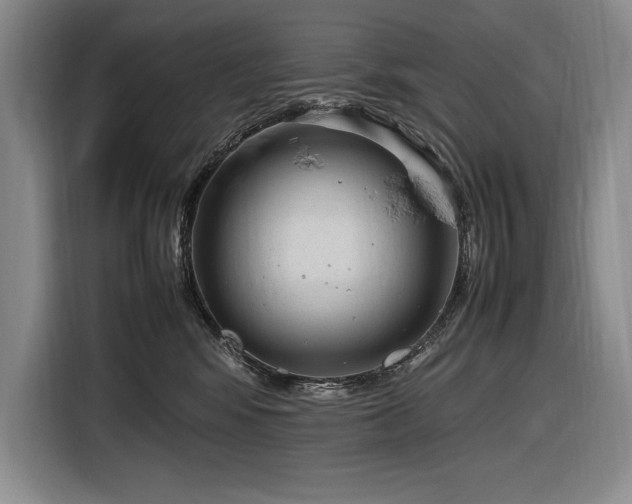 X0000116880424200912221429