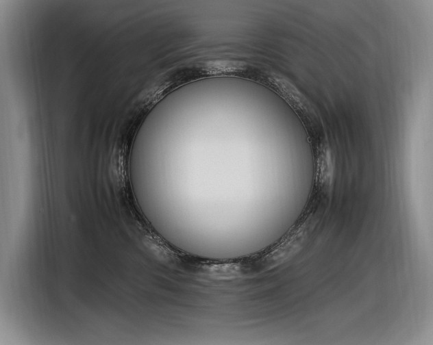 X0000116880426200912221429
