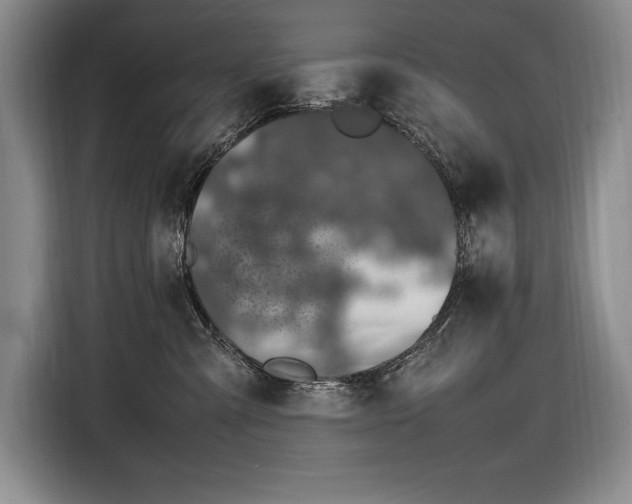 X0000116880427200912221429