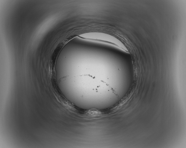 X0000116880429200912221429
