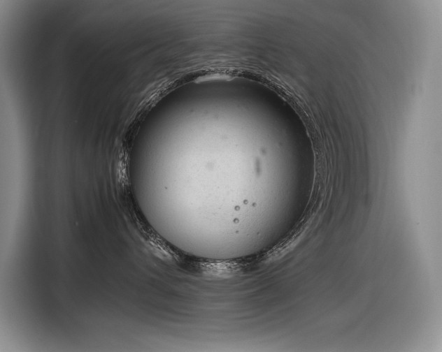 X0000116880432200912221429