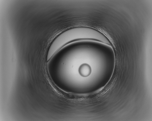X0000116880433200912221428
