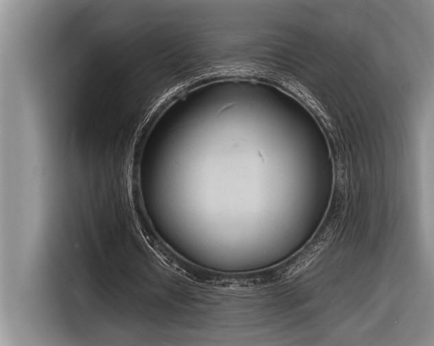 X0000116880434200912221428