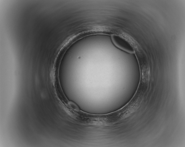 X0000116880436200912221428