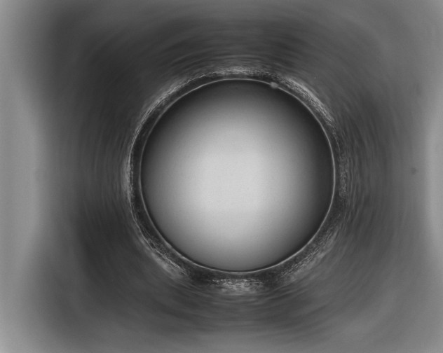 X0000116880439200912221428